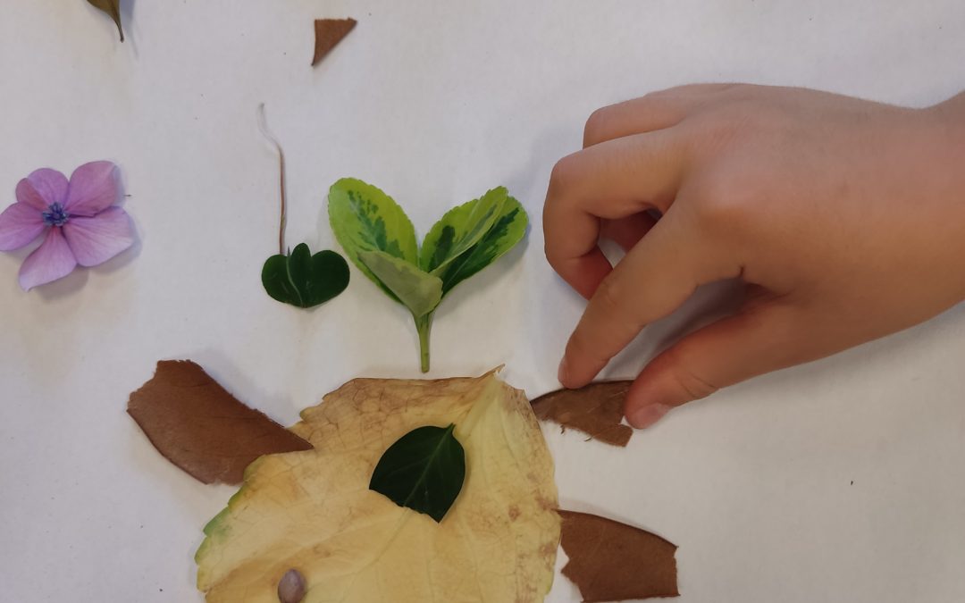 Laboratorio naturale